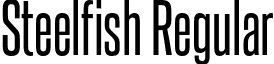 Steelfish Regular font - steelfish rg.otf