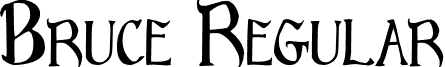 Bruce Regular font - Bruce_Standard_Text.otf
