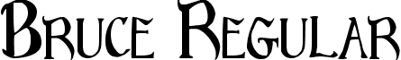 Bruce Regular font - Bruce_Standard_Text.ttf