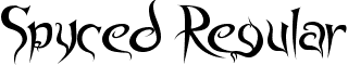 Spyced Regular font - Spyced.ttf