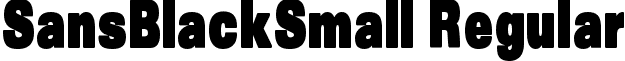 SansBlackSmall Regular font - SansBlackSmall.ttf