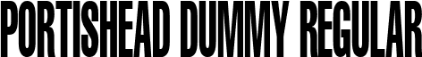 Portishead Dummy Regular font - portd___.ttf
