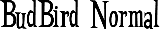 BudBird Normal font - Budbn___.ttf