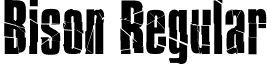 Bison Regular font - BISONPRR.TTF