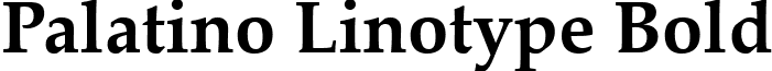 Palatino Linotype Bold font - palab.ttf