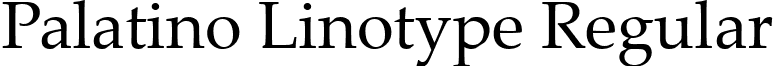Palatino Linotype Regular font - pala.ttf