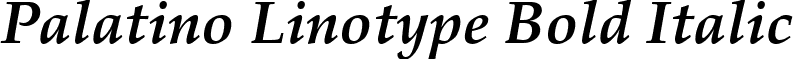 Palatino Linotype Bold Italic font - palabi.ttf