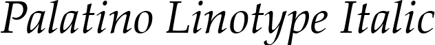 Palatino Linotype Italic font - palai.ttf