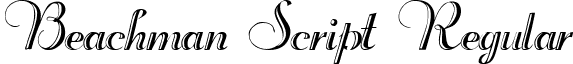 Beachman Script Regular font - Beachman Script.ttf