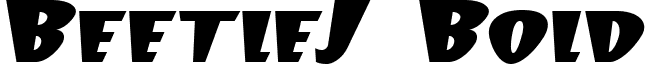 BeetleJ Bold font - BEETLE.TTF