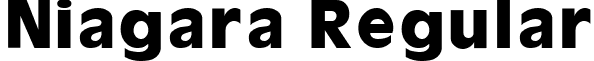 Niagara Regular font - Niagara.ttf