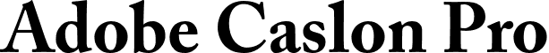 Adobe Caslon Pro font - ACaslonPro-Bold.otf