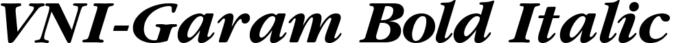 VNI-Garam Bold Italic font - VGARAMBI.TTF