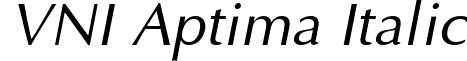 VNI Aptima Italic font - Vniai___.ttf