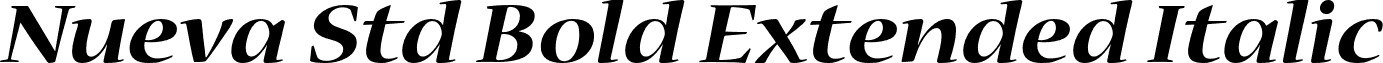 Nueva Std Bold Extended Italic font - NuevaStd-BoldExtendedItalic.otf