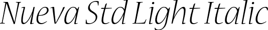 Nueva Std Light Italic font - NuevaStd-LightItalic.otf