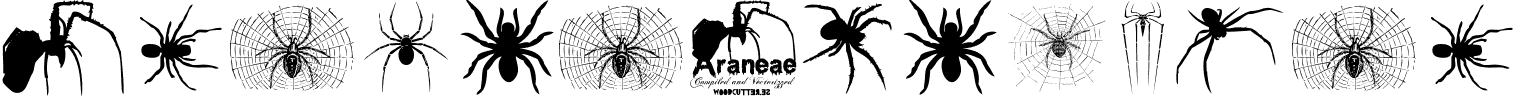 Aranea Regular font - Araneae.ttf