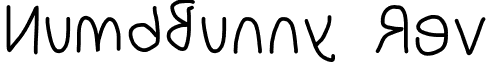 NumbBunny Rev font - NumbBunnyRev.otf