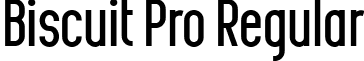 Biscuit Pro Regular font - Biscuit_Pro_Demo.ttf