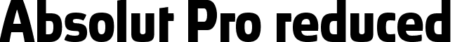 Absolut Pro reduced font - Absolut_Pro_Bold_reduced.ttf