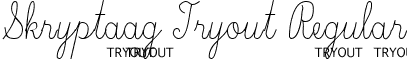 Skryptaag Tryout Regular font - SKRYT___.TTF