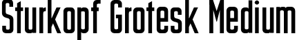 Sturkopf Grotesk Medium font - Sturkopf.otf