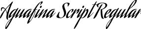Aguafina Script Regular font - AguafinaScript-Regular.ttf
