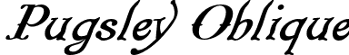 Pugsley Oblique font - PugsleyOblique.otf