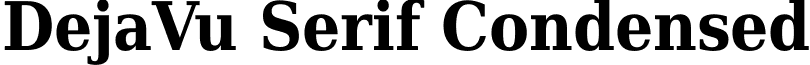 DejaVu Serif Condensed font - DejaVuSerifCondensed-Bold.ttf