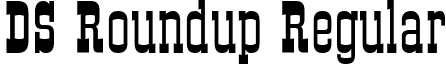 DS Roundup Regular font - DSRoundup.ttf