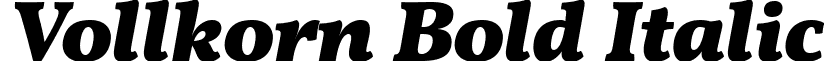 Vollkorn Bold Italic font - vollkorn-bolditalic.ttf