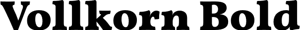 Vollkorn Bold font - vollkorn-bold.otf