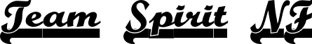 Team Spirit NF font - TeamSpiritNF.otf