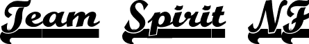 Team Spirit NF font - TeamSpiritNF.ttf