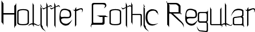 Holitter Gothic Regular font - Holitter_Gothic.ttf
