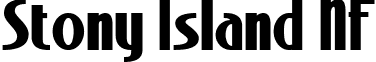 Stony Island NF font - Stony Island NF Bold.ttf