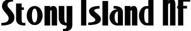 Stony Island NF font - StonyIslandNF-Bold.otf