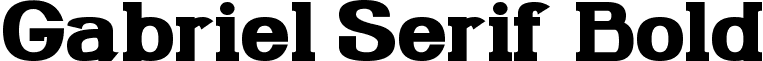 Gabriel Serif Bold font - GabrielSerifBold.ttf