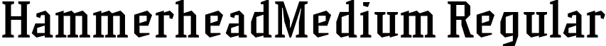 HammerheadMedium Regular font - HammerheadMedium.ttf