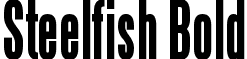 Steelfish Bold font - steelfib.ttf