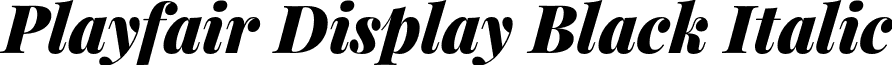 Playfair Display Black Italic font - PlayfairDisplay-BlackItalic.otf