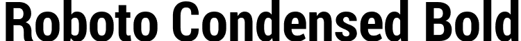 Roboto Condensed Bold font - RobotoCondensed-Bold.ttf