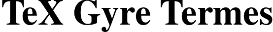 TeX Gyre Termes font - texgyretermes-bold.otf