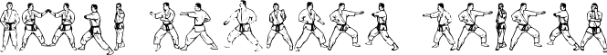 McCoy Dingbat Karate font - mccodk.ttf