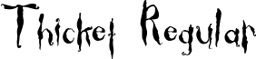 Thicket Regular font - THICKET_.TTF