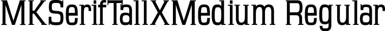 MKSerifTallXMedium Regular font - MKSerifTallXMedium.ttf