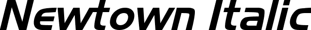 Newtown Italic font - NEWTOW_I.TTF