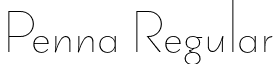 Penna Regular font - penna.otf