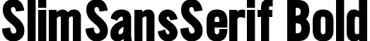 SlimSansSerif Bold font - SlimSansSerif-Bold.ttf