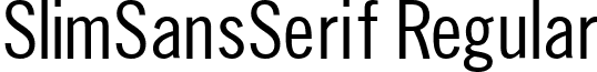 SlimSansSerif Regular font - SlimSansSerif.ttf